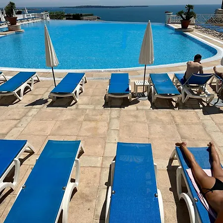 Francia Bat Gogh Avec Piscine